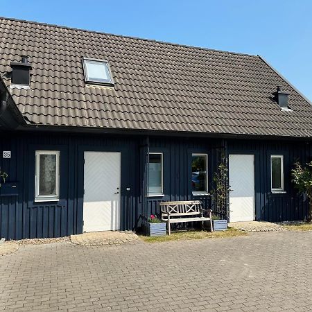 Ferienhaus Mit Sauna Zingst Ngoại thất bức ảnh